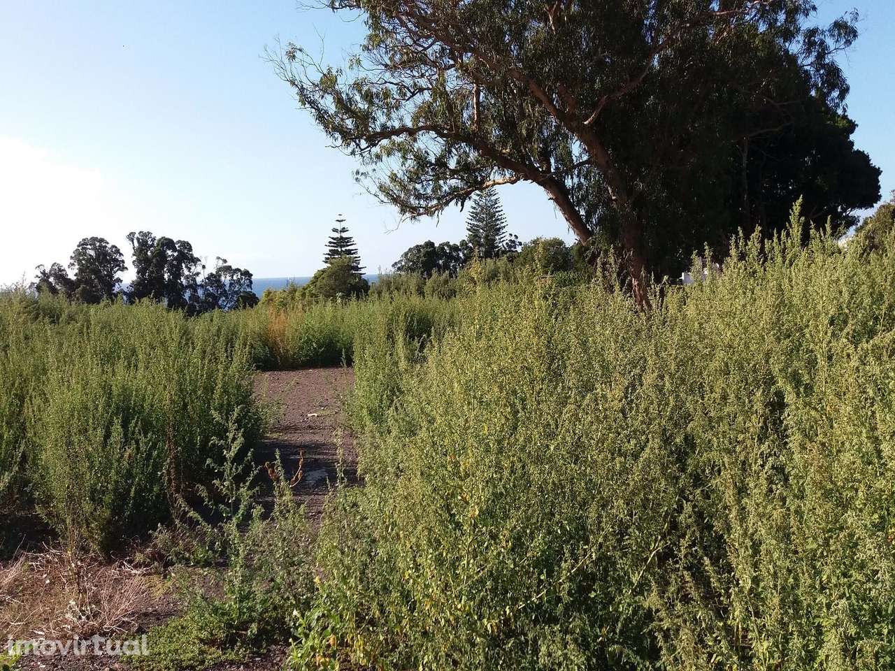 Terreno em zona urbana em Ponta Delgada - Grande imagem: 2/17