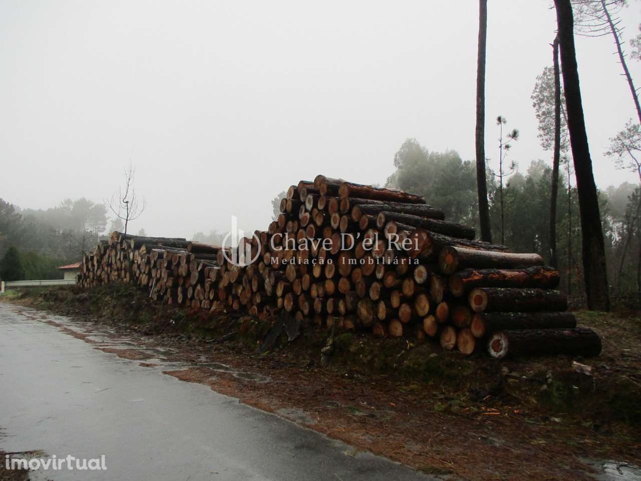 Terreno Para Construção  Venda em Ribafeita,Viseu - Grande imagem: 5/7