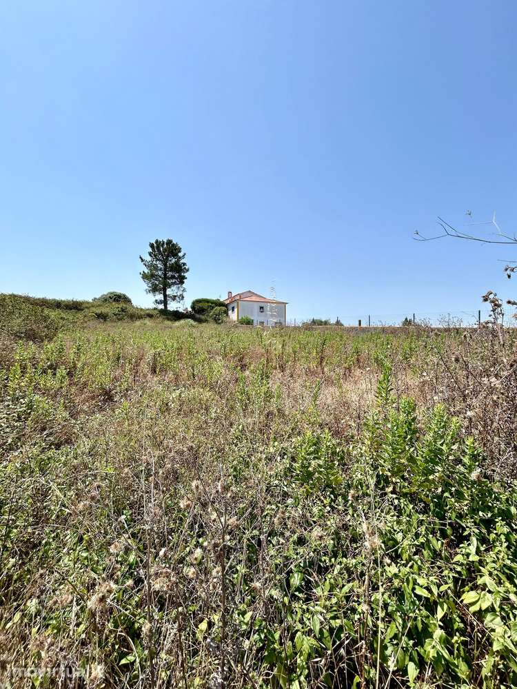 Terreno com 9.749 m² e Potencial de Construção em Zona Urbana e Rural - Grande imagem: 4/6