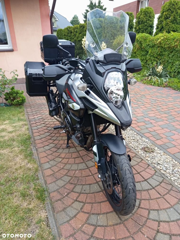 Suzuki DL - 12