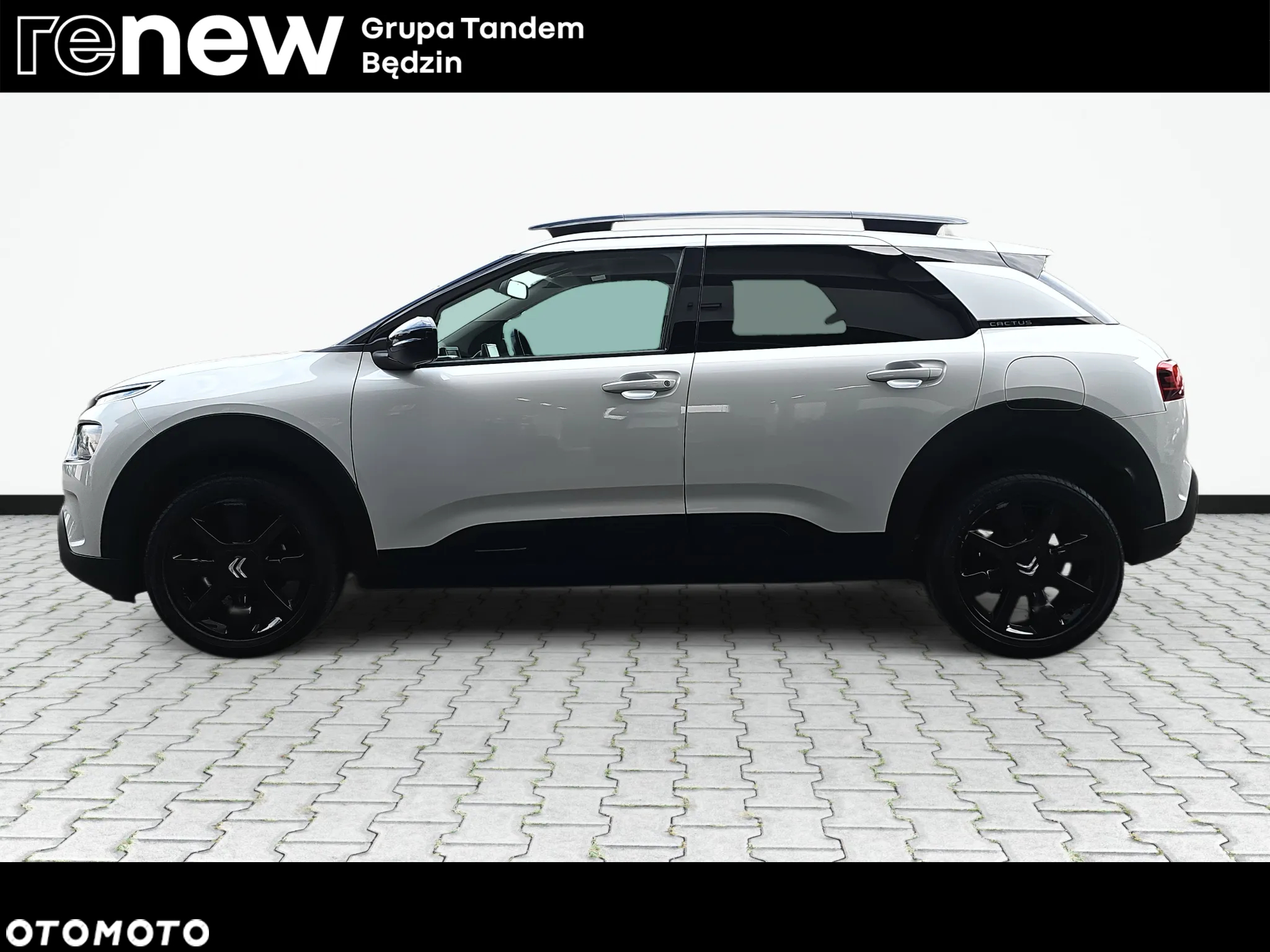 Citroën C4 Cactus 1.2 PureTech Shine S&S EAT6 - 8
