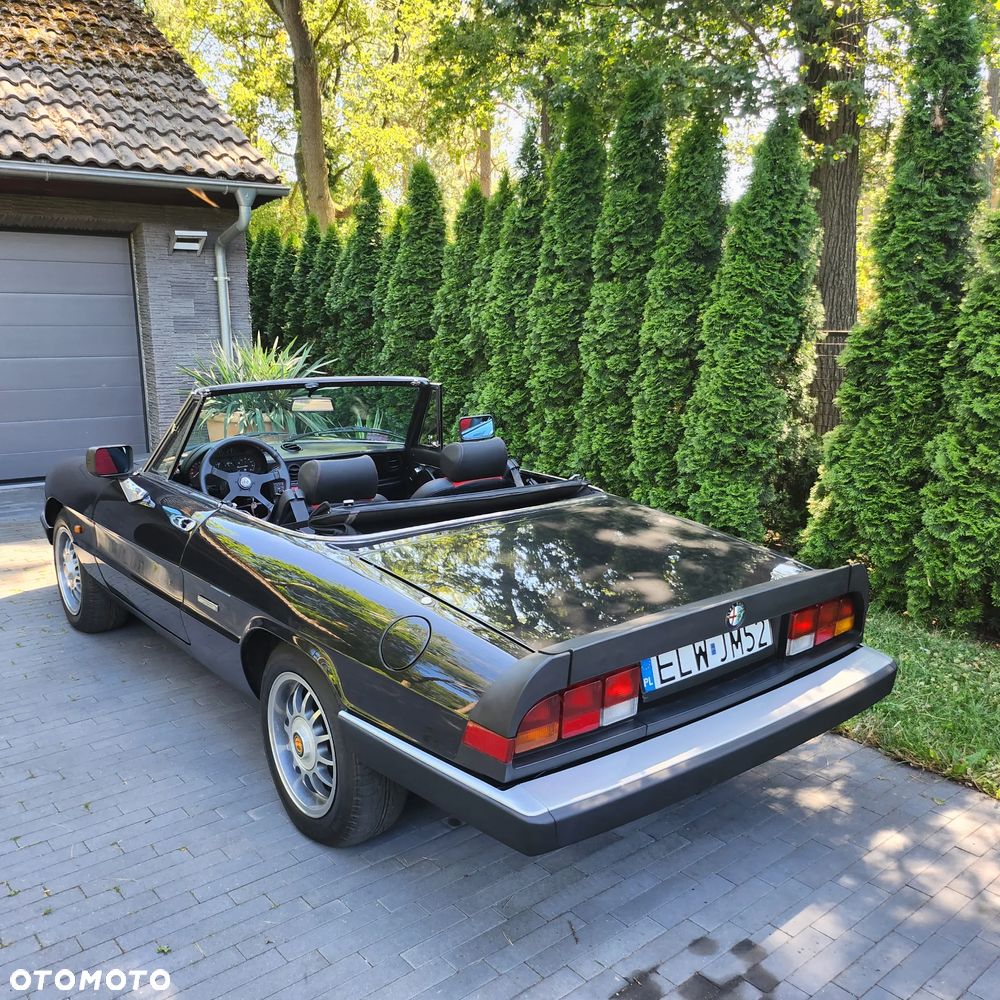 Alfa Romeo Spider - 17