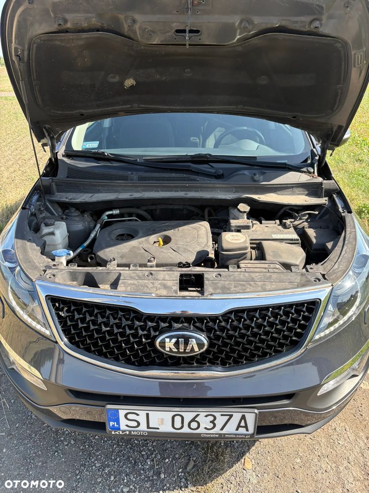 Kia Sportage - 14