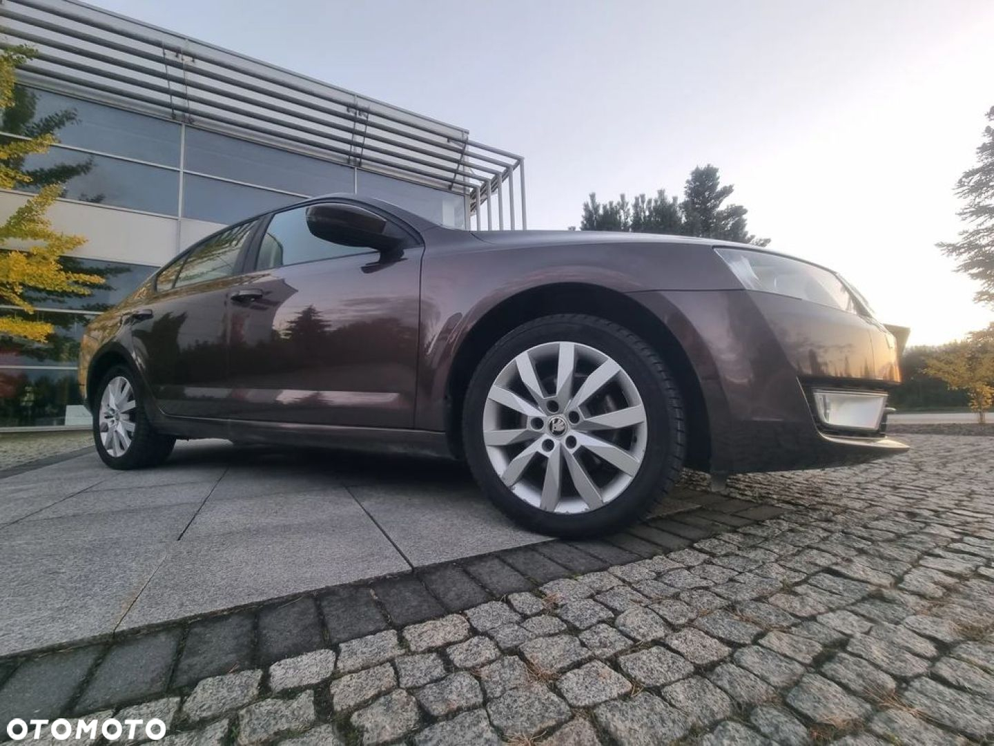 Skoda Octavia 1.6 TDI Elegance - 39