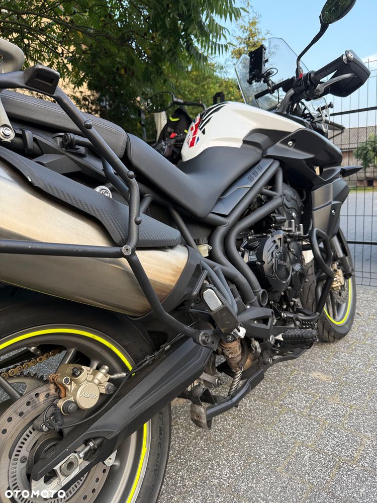 Triumph Tiger - 10