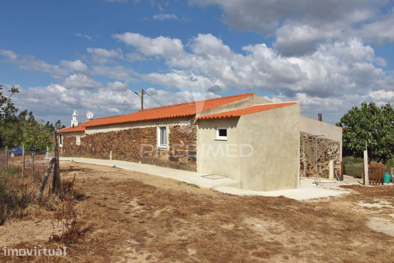 Quinta com 7,500 ha em São Martinho das Amoreiras - Grande imagem: 2/33