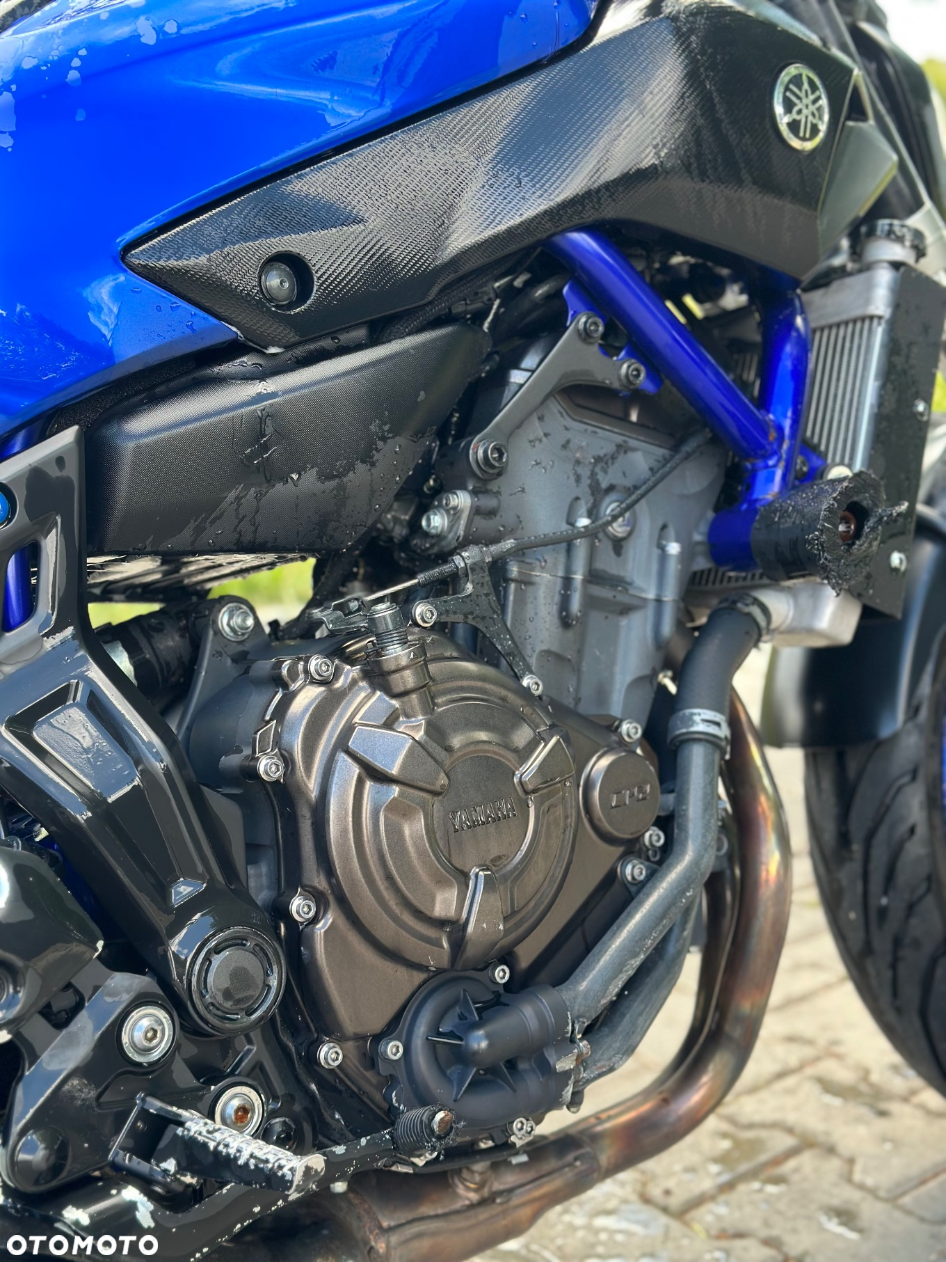 Yamaha MT - 6