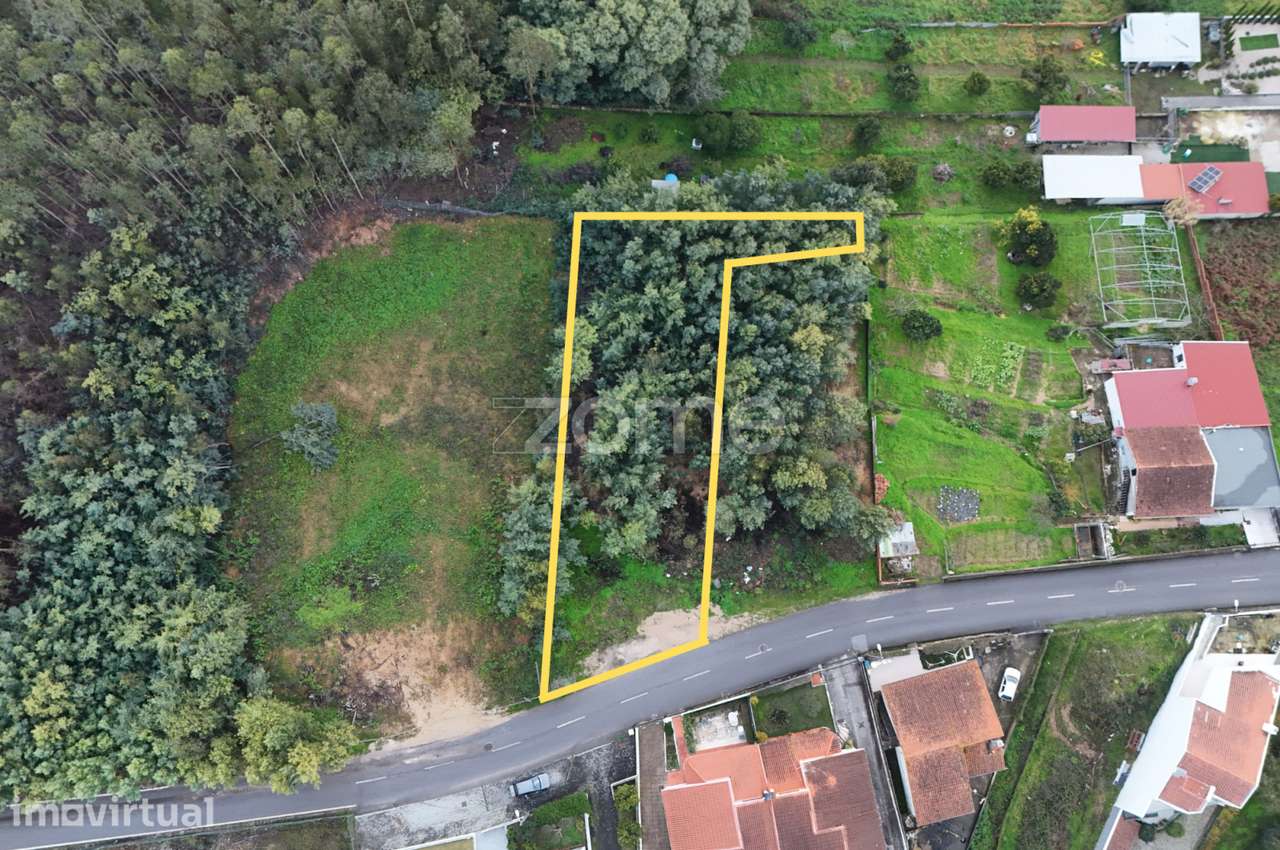 Terreno Urbano com possibilidade de construção em S. Martinho do Bi... - Grande imagem: 3/14