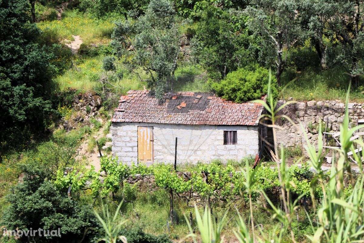 Quinta  para venda - Grande imagem: 2/6