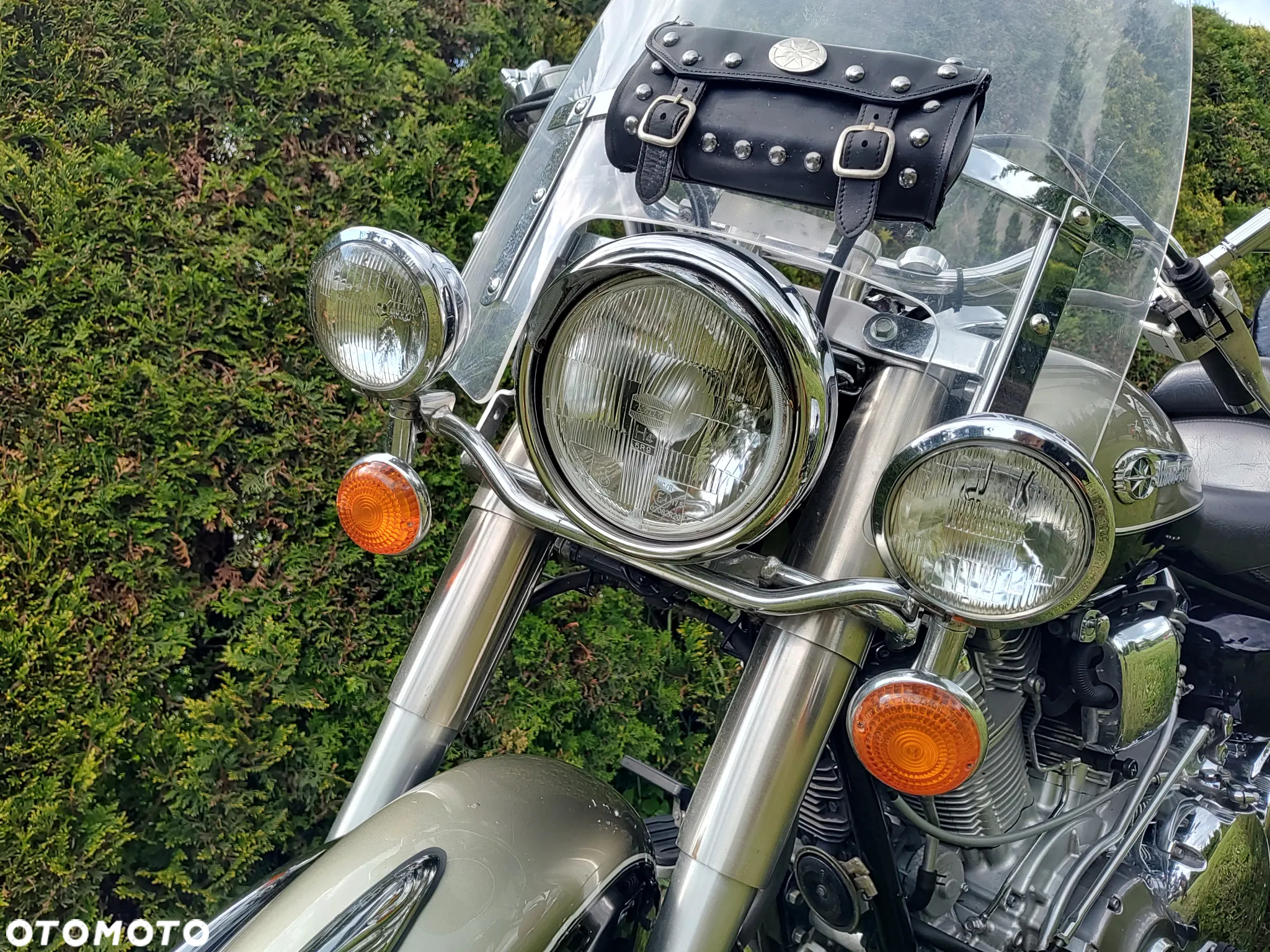 Yamaha Wild star - 10