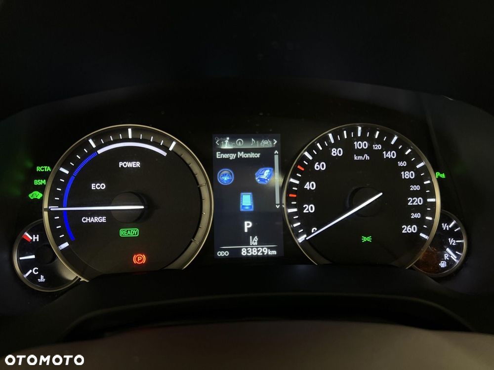 Lexus RX 450h Omotenashi MY19 - 20