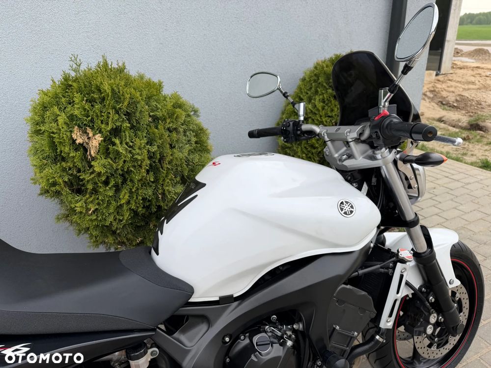 Yamaha FZ - 19