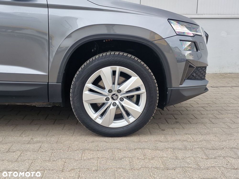 Skoda Karoq - 19