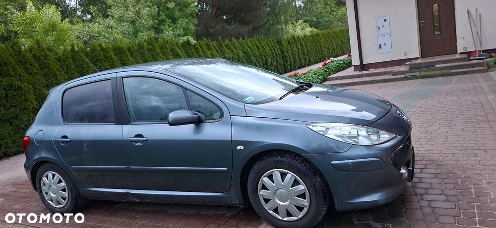 Peugeot 307 1.6 Trendy - 1