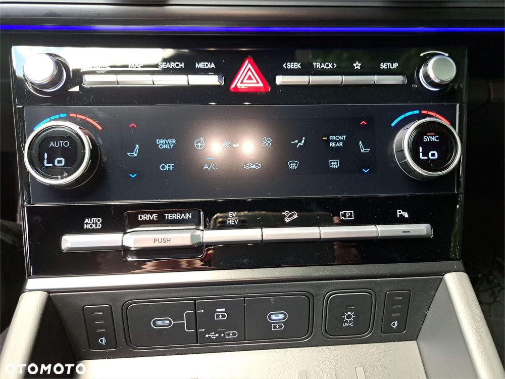 Hyundai Santa Fe - 18