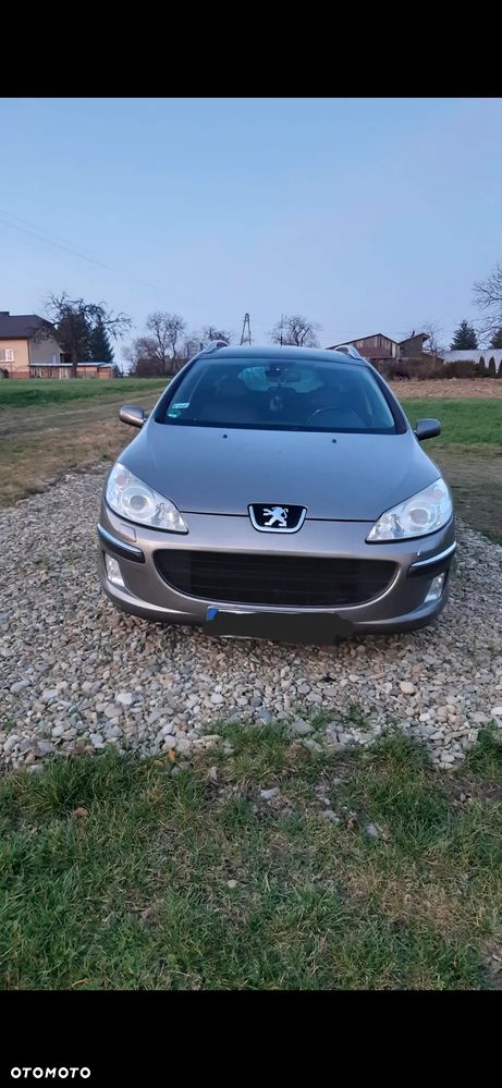 Peugeot 407 2.0 HDI Platinum - 7
