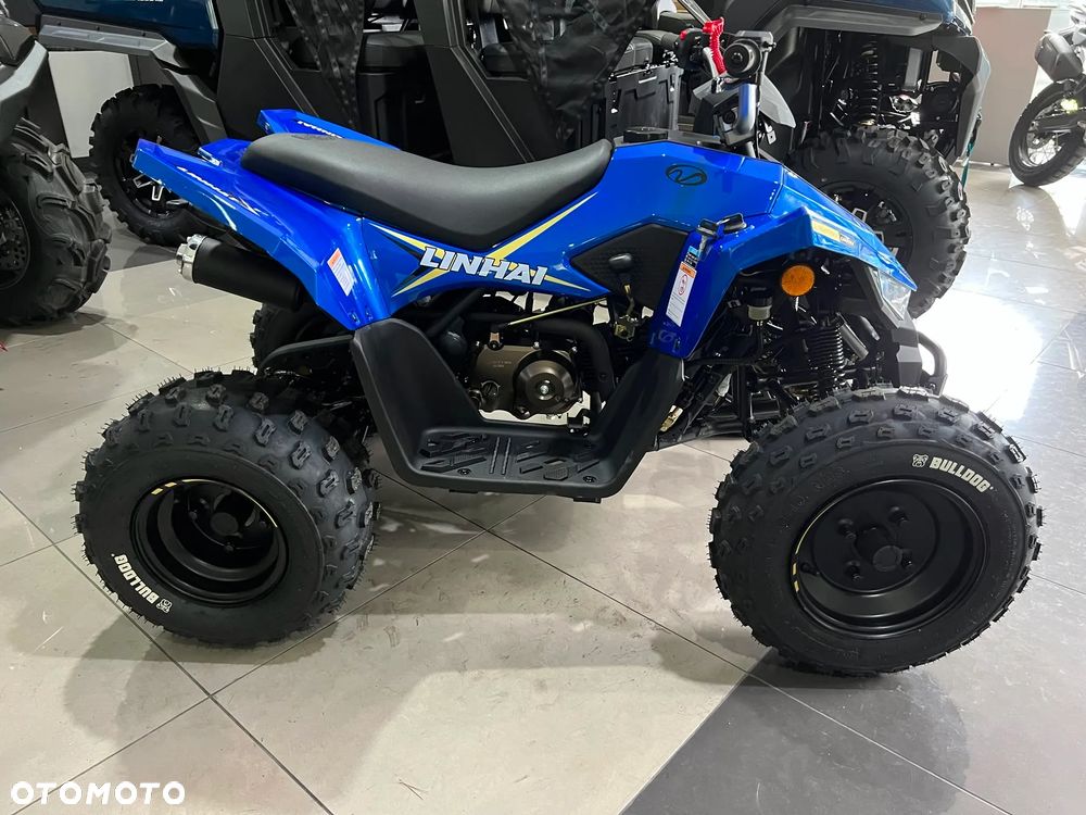 Linhai ATV - 10