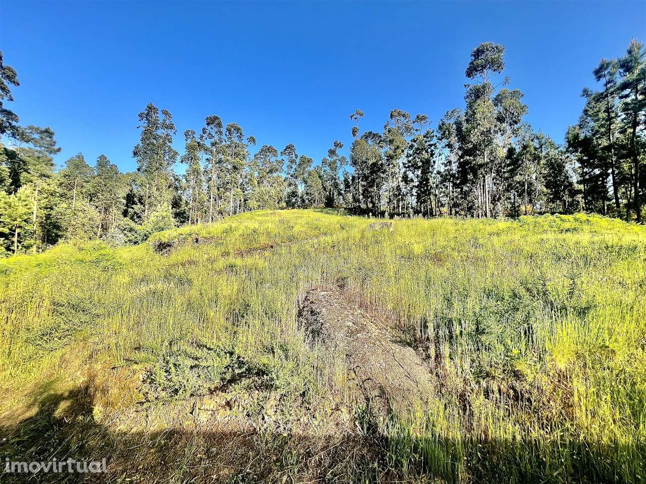 Terreno  Venda em Sobrado e Bairros,Castelo de Paiva - Grande imagem: 3/13