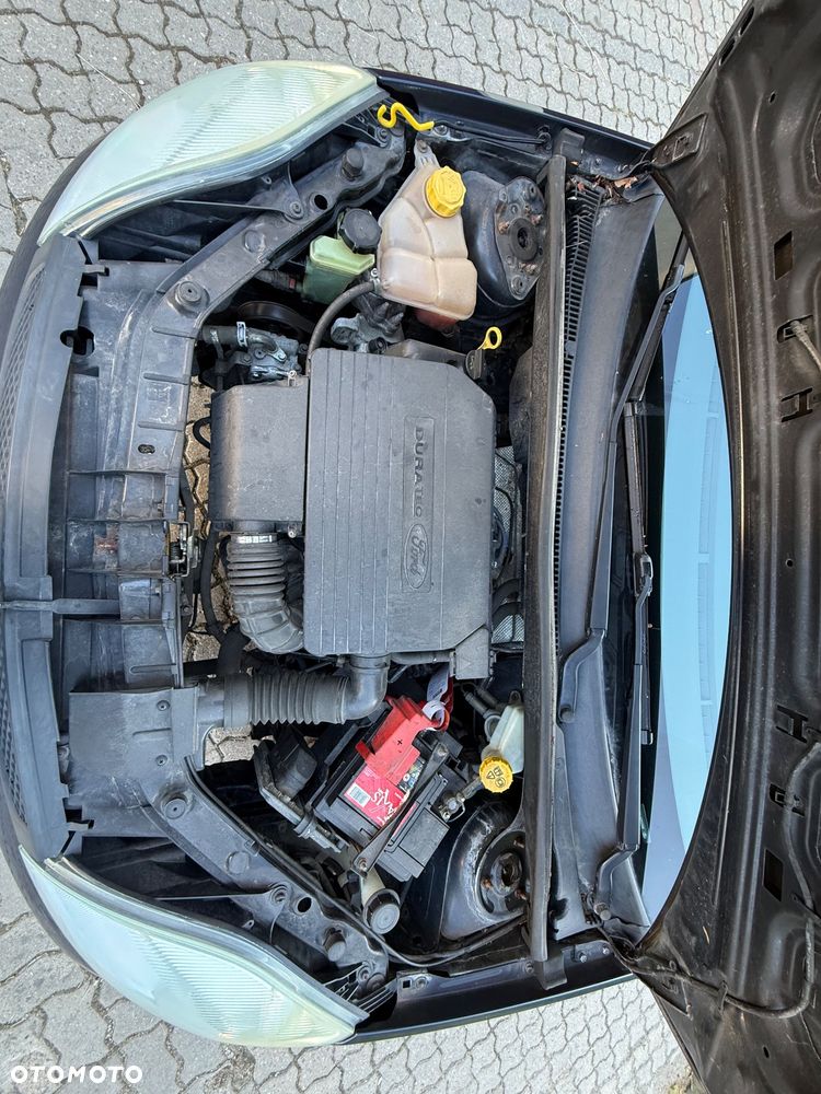 Ford Fiesta 1.3 - 19