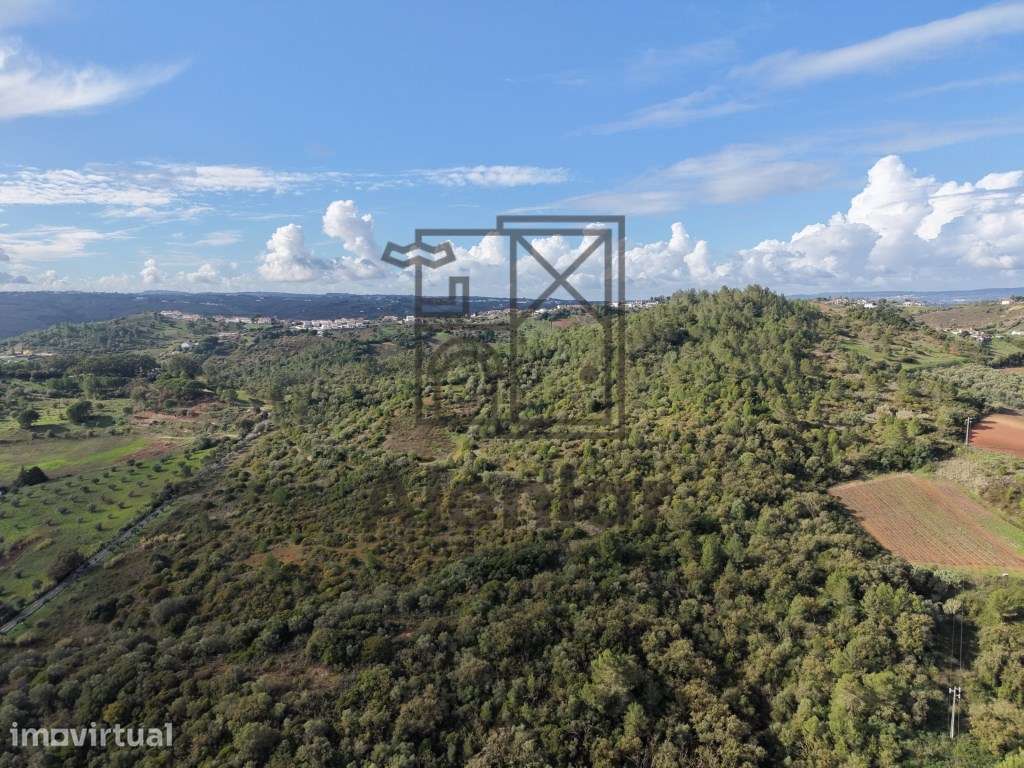 Terreno de 42 hectares, Excelente Investimento - Grande imagem: 2/24