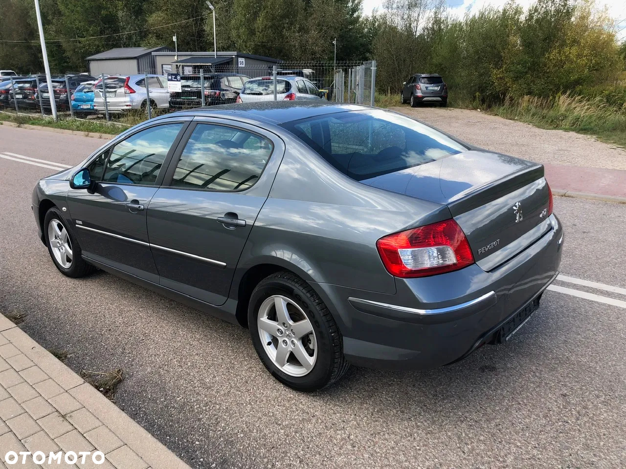 Peugeot 407 - 3