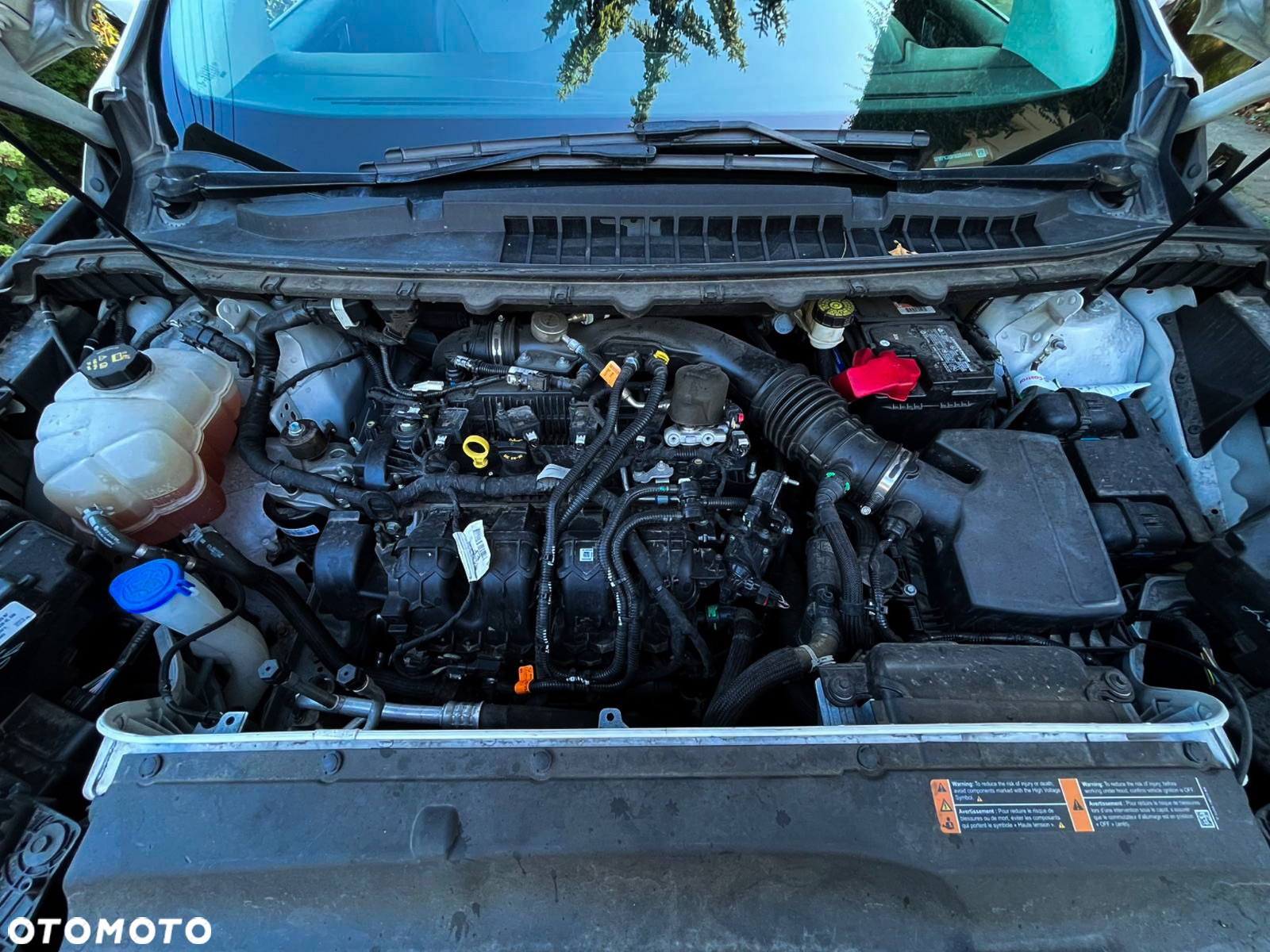 Ford Edge - 6