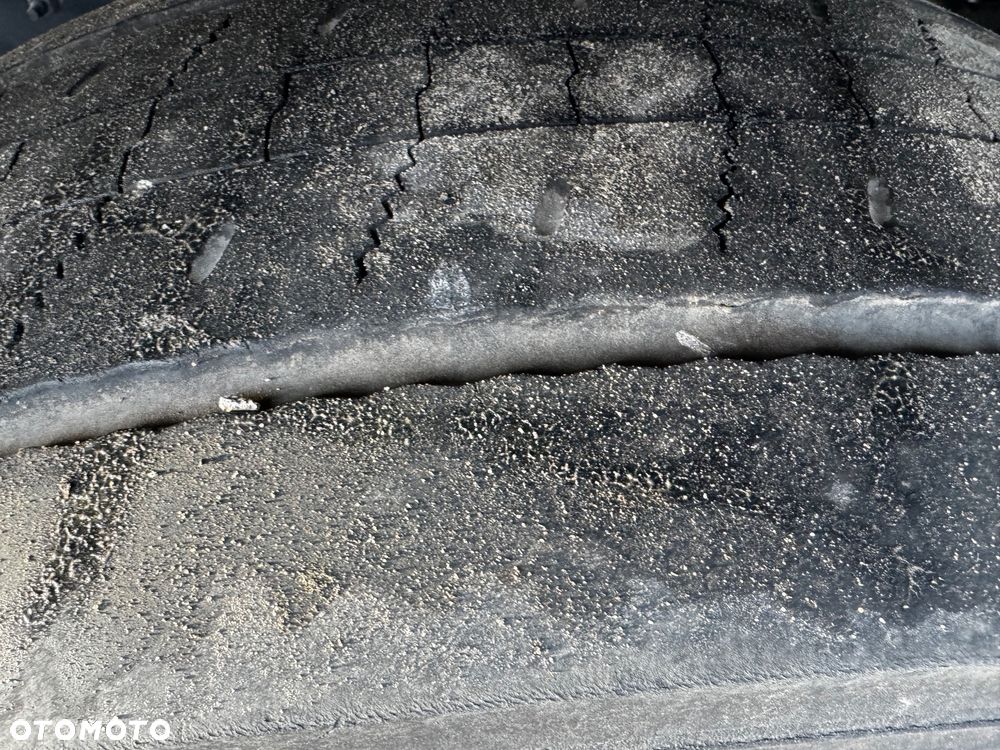 Renault GAMA T 480 EURO 6 // SERWISOWANY // - 10