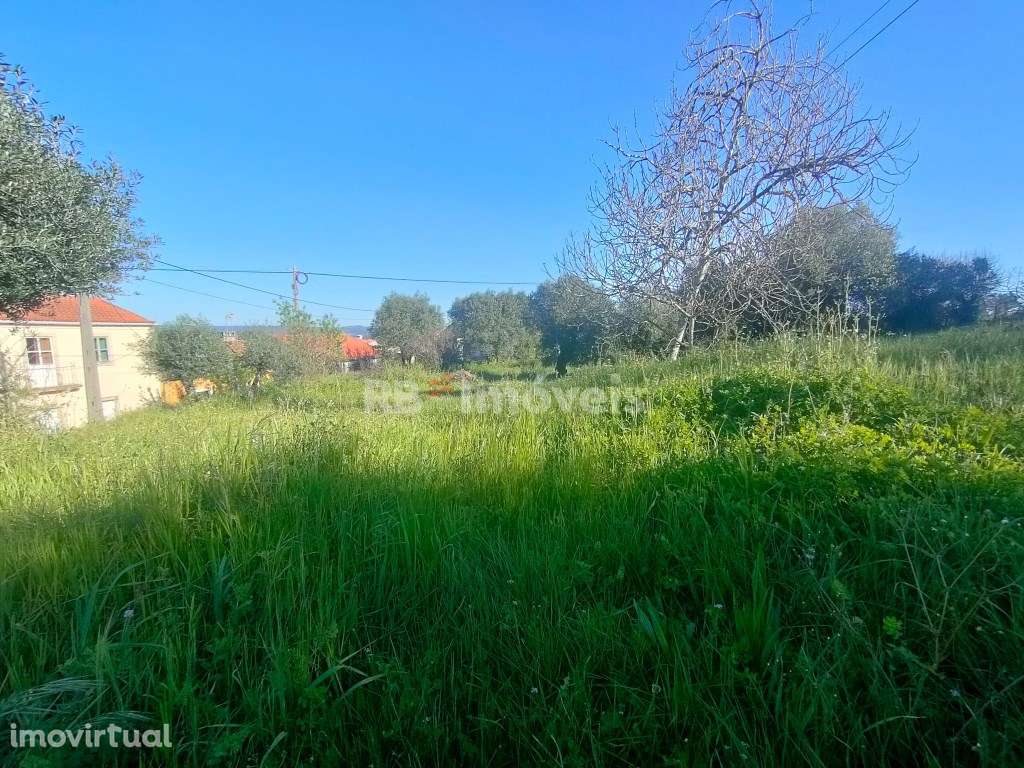 Terreno Urbano com 830m2 - São Simão, Tomar - Grande imagem: 3/6