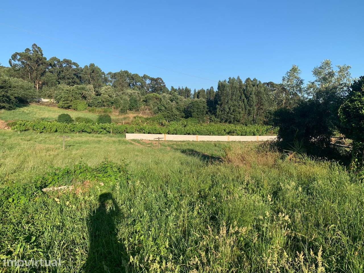 Terreno urbano de 1300m² em Valongo - Grande imagem: 5/5