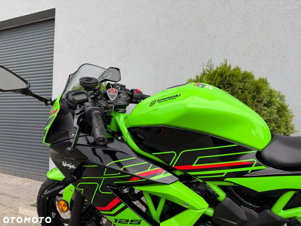Kawasaki Ninja - 29