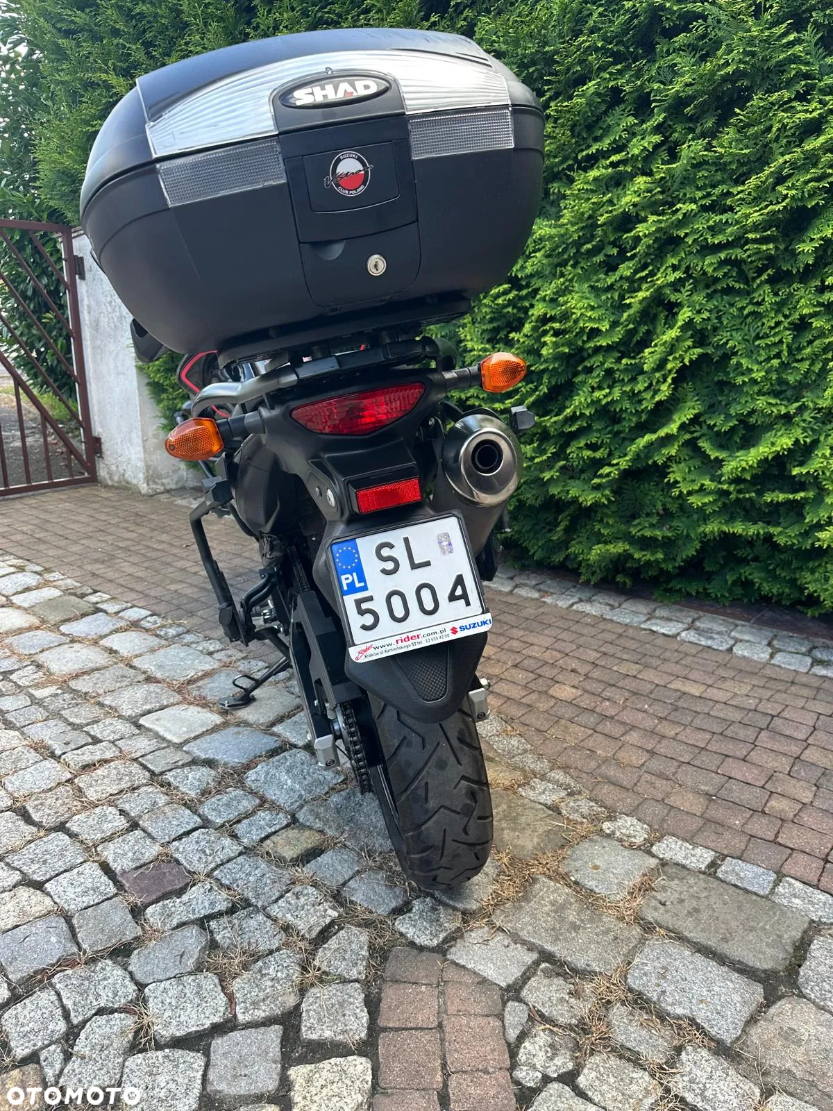 Suzuki DL - 10