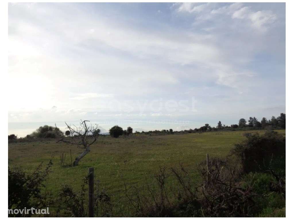 Excelente Terreno Rústico com Poço e Cultura Arvense em São Miguel ... - Grande imagem: 2/6