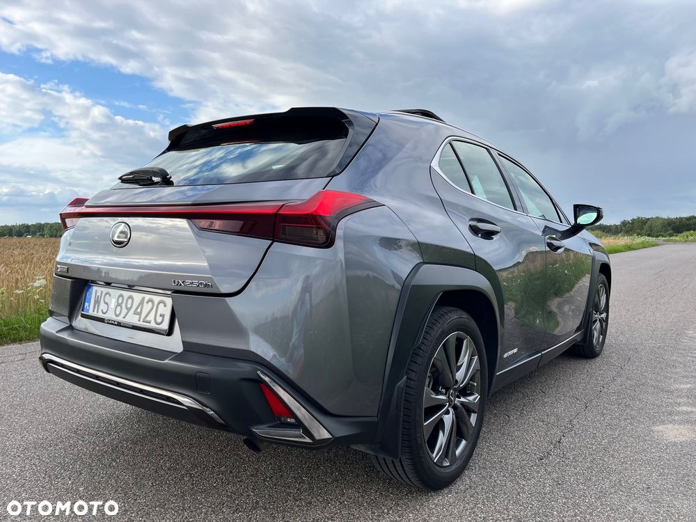 Lexus UX - 7