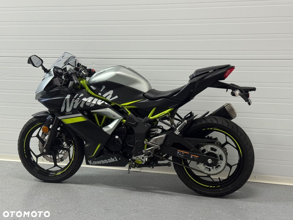 Kawasaki Ninja - 16