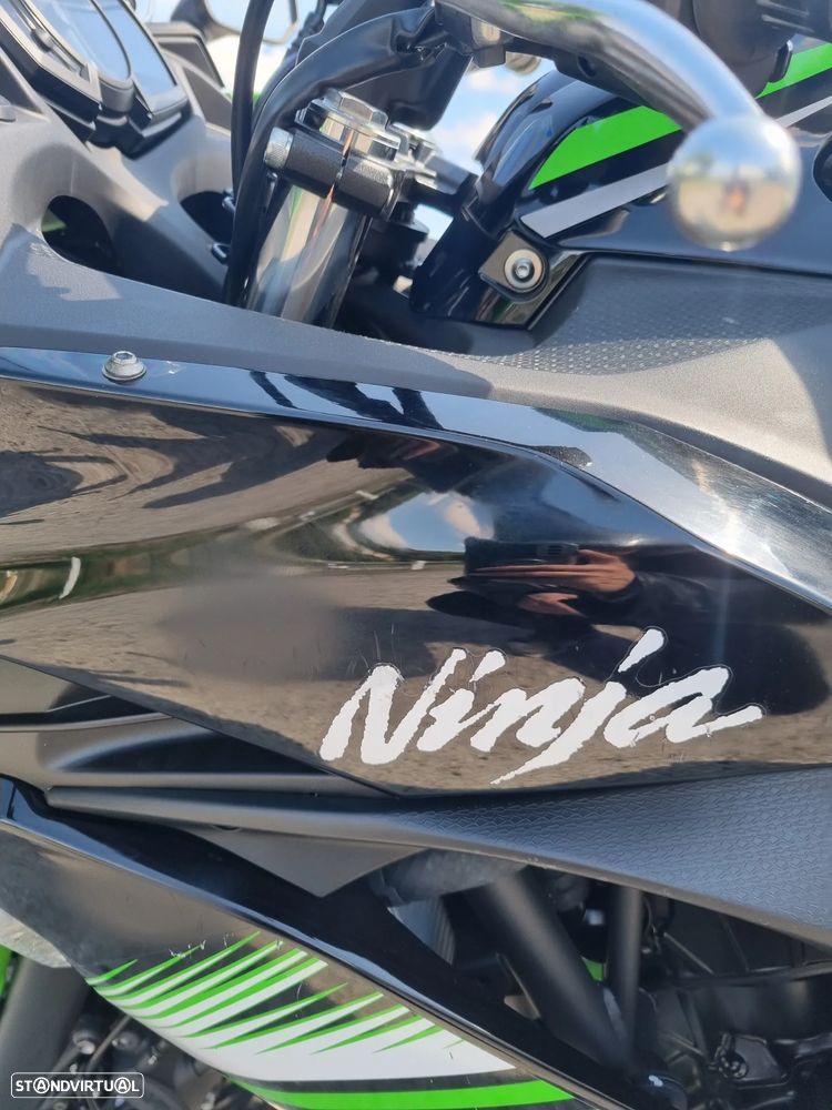 Kawasaki Ninja - 10
