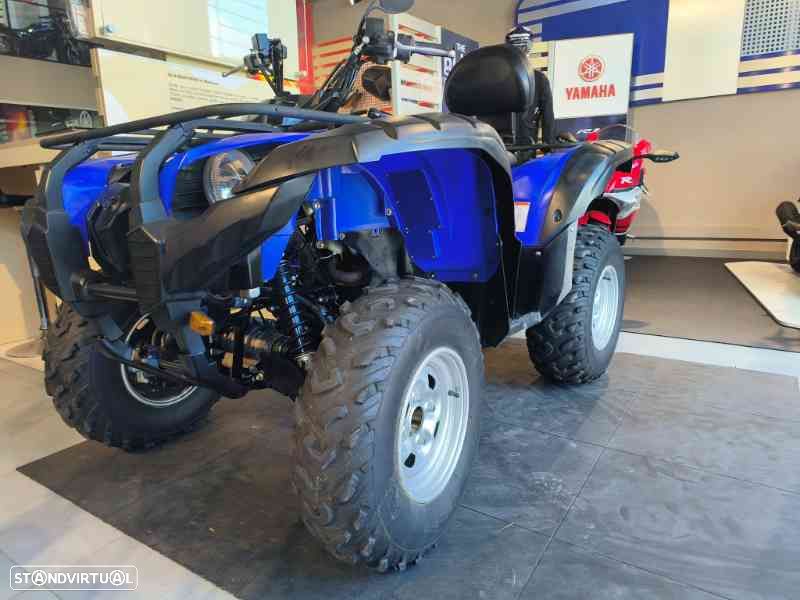 Yamaha Grizzly 700 - 6