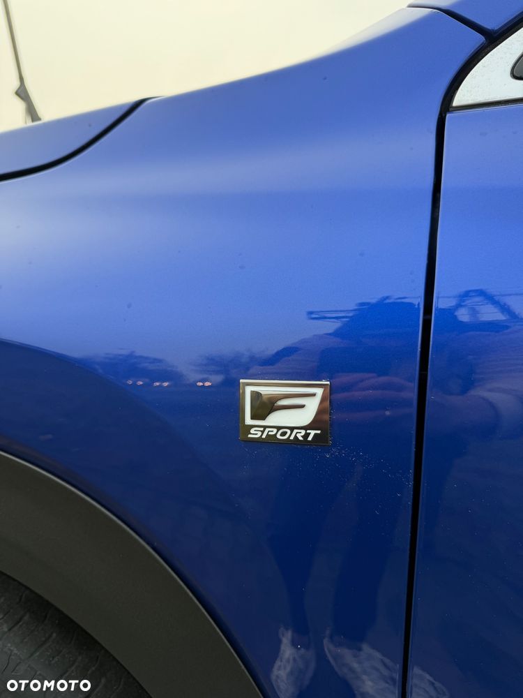 Lexus NX 300h F Sport AWD - 28