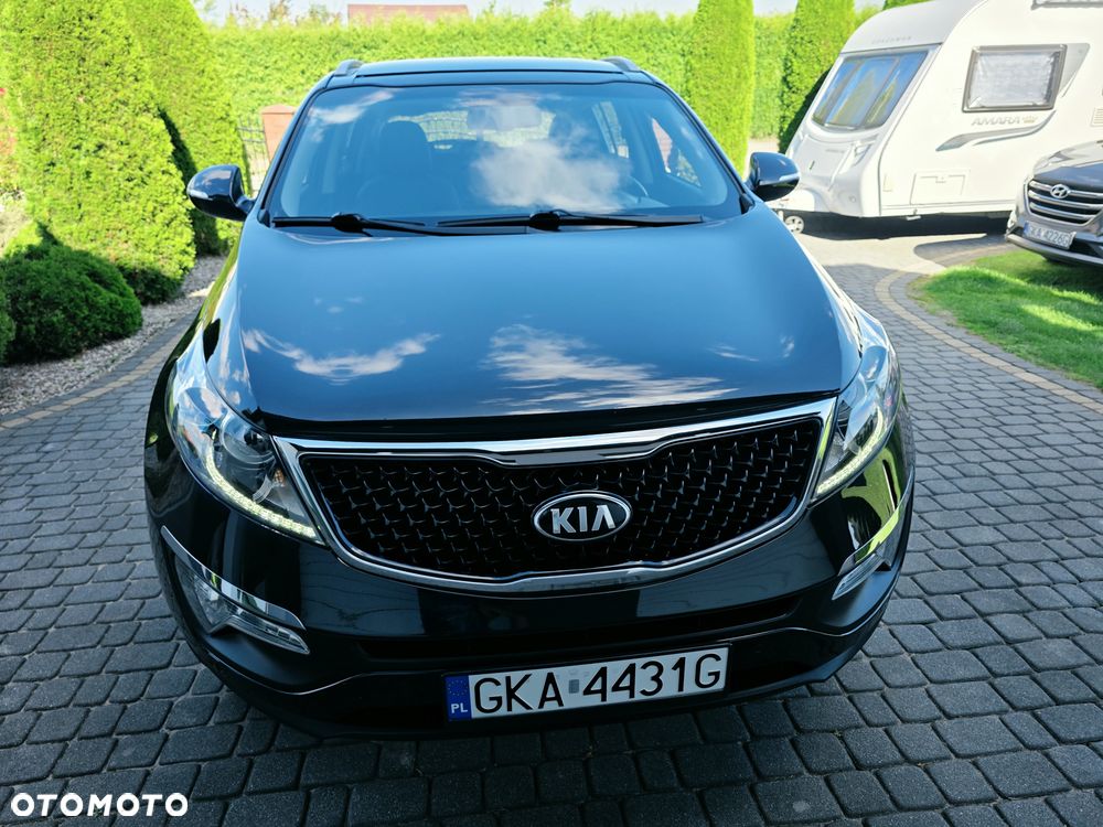 Kia Sportage - 19
