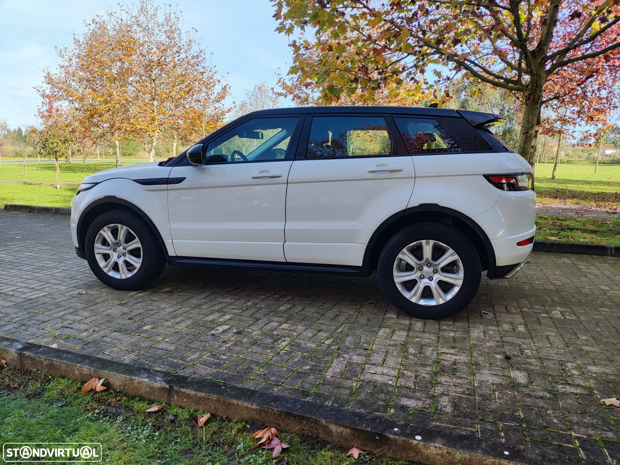 Land Rover Range Rover Evoque 2.0 TD4 SE Dynamic Auto - 18