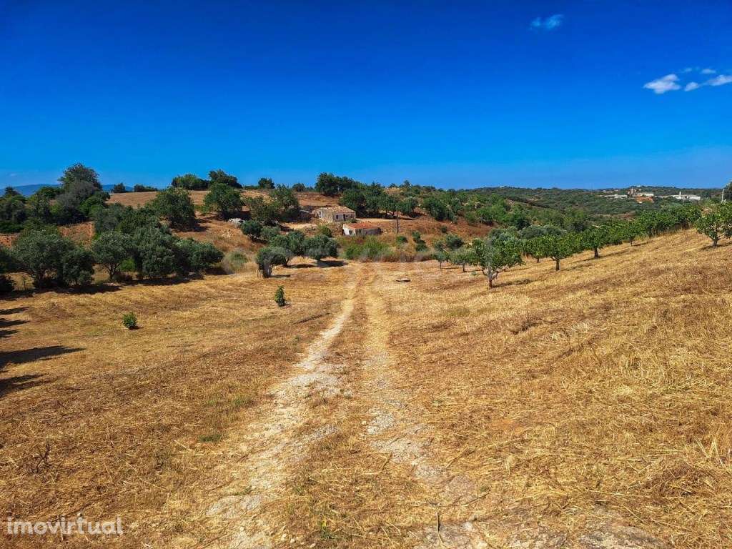 Terreno Misto com 3.680ha e capacidade de construir até 2.000m2, co... - Grande imagem: 2/16