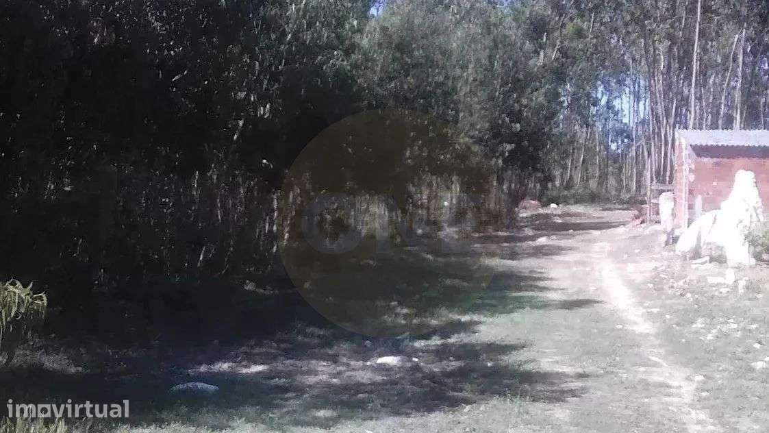 Terreno rústico com 6.200 m² em zona tranquila - Lourinhã - Grande imagem: 5/6