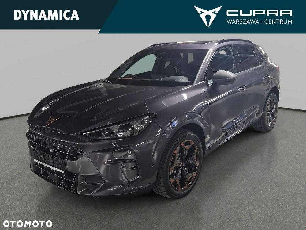 Cupra Terramar - 12