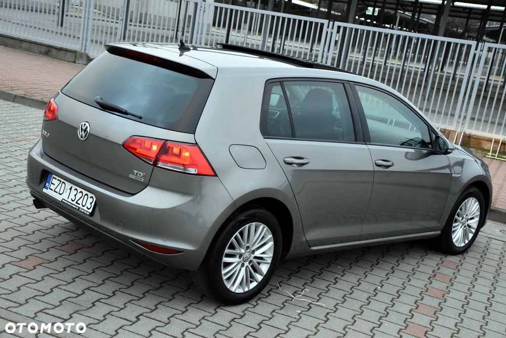 Volkswagen Golf 1.6 TDI BlueMotion Technology Cup - 18