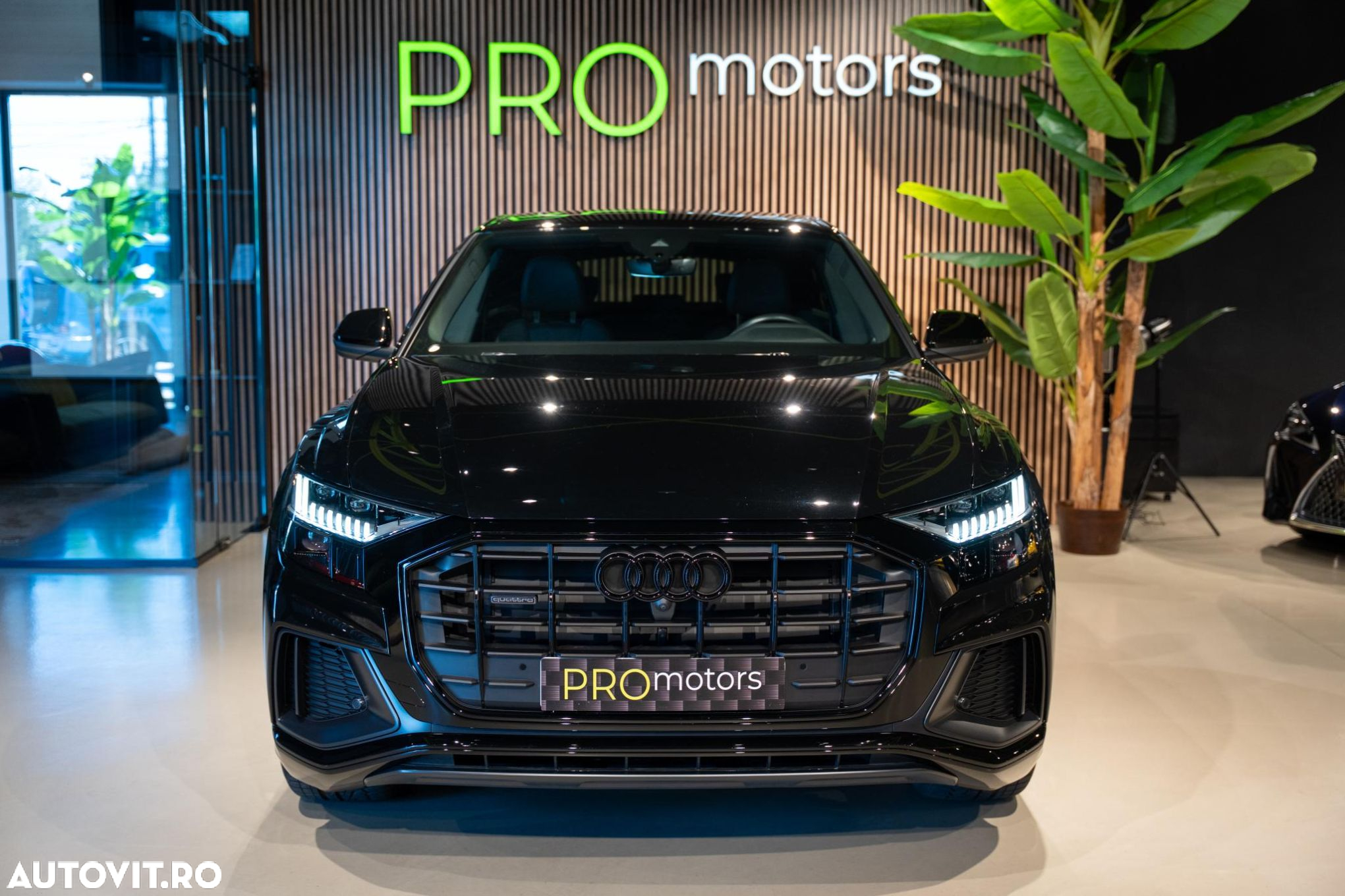 Audi Q8 - 13
