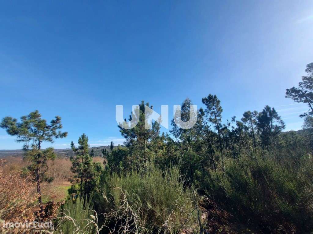 Terreno Rústico - Possibilidade de Construção - Grande imagem: 5/12