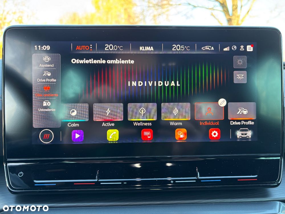 Cupra Formentor - 33