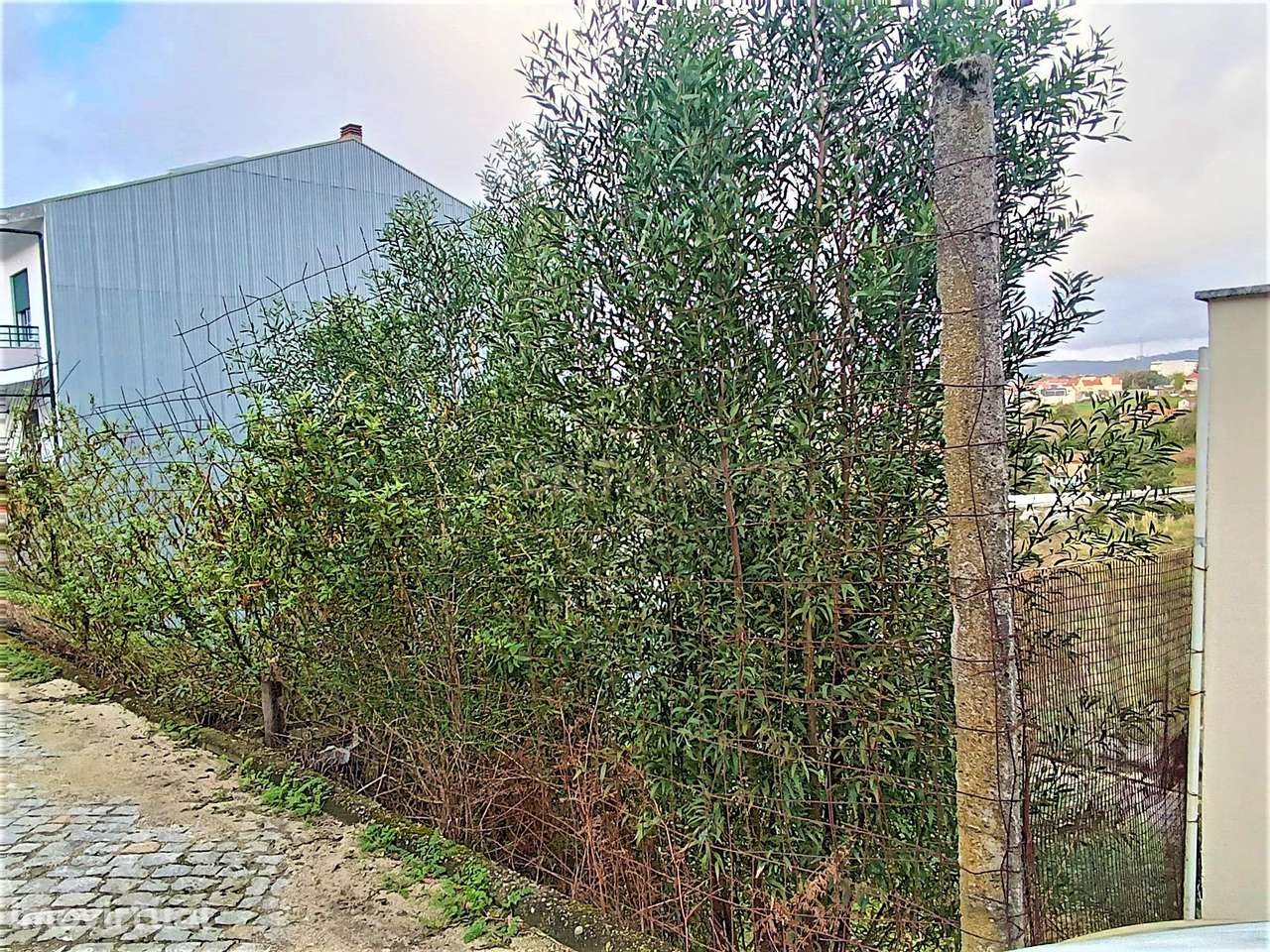 Lote para construção de moradia com 3 frentes perto do Freixo em Valbo - Grande imagem: 3/39