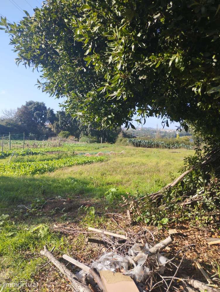 Terreno em Gondomar com Excelente Localização - Grande imagem: 5/14