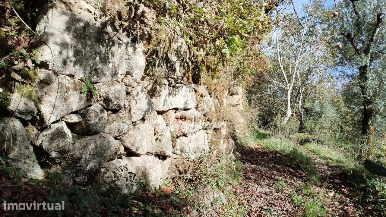 Terreno para Venda no Parque Natural do Gerês - Ideal para Plantaçã... - Grande imagem: 4/9