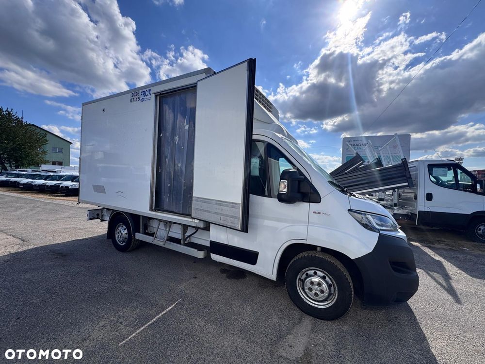 Fiat Ducato / Chłodnia ThermoKing V500 MAX (448) - 12